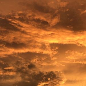 Meet your Posher, Ash